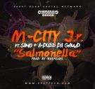 M-City J.R. - Salmonella