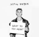 JUSTIN BEIBER WHAT DO YOU MEAN (DJ SERVICE PACK) 
