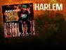 HarlemSOECeo HarlemSOECeo