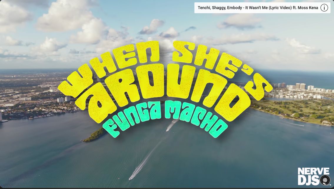 Bruce Melodie, Shaggy - When She's Around (Funga Macho)