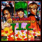 The Evolution Of T.L.C