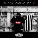 Black America 2
