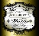 We Grown We Grown