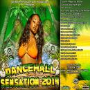 A i Productions Presents DanceHall Sensation 2014