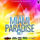 Miami Paradise Vol 7