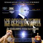 DJ FEMMIE MIXTAPES, NERVE DJS, STACK UP DJS PRESENT THE AMAZING PITBULL CD 164 DJ FEMMIE MIXTAPES, NERVE DJS, STACK UP DJS PRESENT THE AMAZING PITBULL CD 164