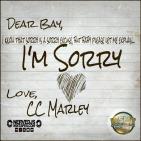 I'M SORRY (DJ Service Pak)