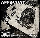 Affidavit Affidavit
