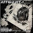 Affidavit Affidavit