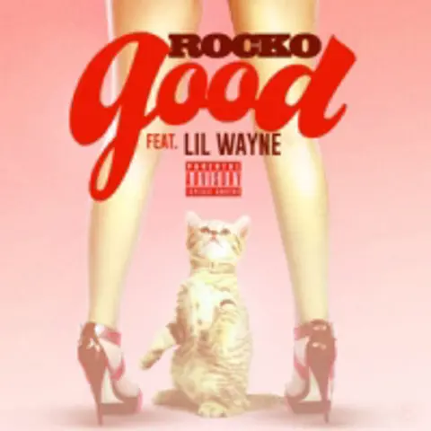 Rocko feat. Lil Wayne- "Good" 