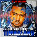 THE EVOLUTION OF TIMBALAND