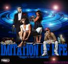 Imitation Of Life - Beggar's Can't Be Choosey Imitation Of Life - Beggar's Can't Be Choosey