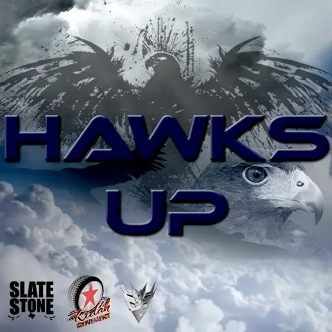 Hawks Up (Stone Remix)