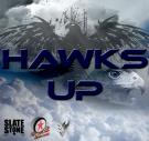 Hawks Up (Stone Remix)