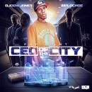 CEO of The City Hosted by ZipLocMoe