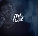 Bird Is The Word 3 Bird Is The Word 3
