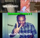 Unleashed Promo