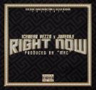 ICEWEAR VEZZO FEAT JUVENILE- RIGHT NOW 