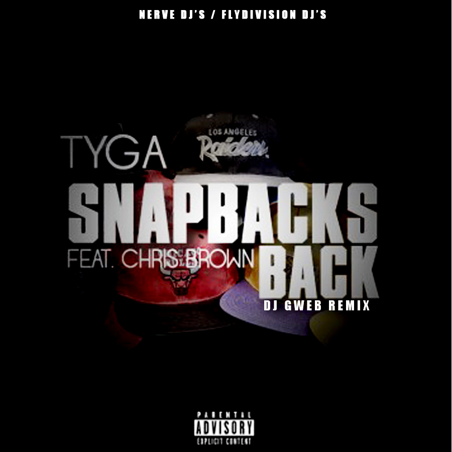 tyga chris brown snapback