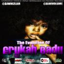 The Evolution Of  Erykah Badu @fatbellybella