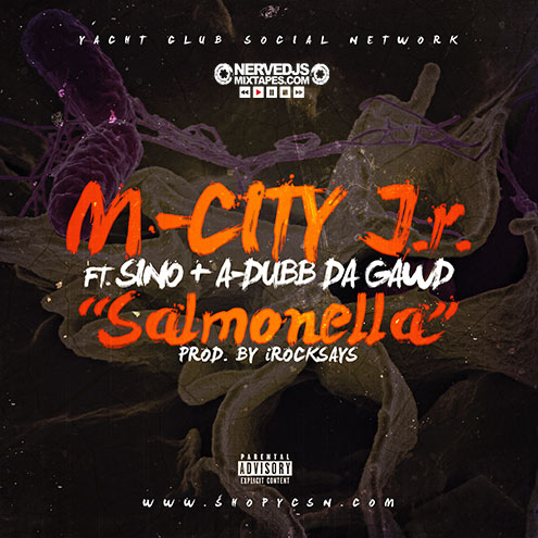 M-City J.R. - Salmonella