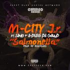 M-City J.R. - Salmonella M-City J.R. - Salmonella