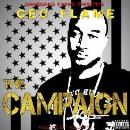 The Campaign 