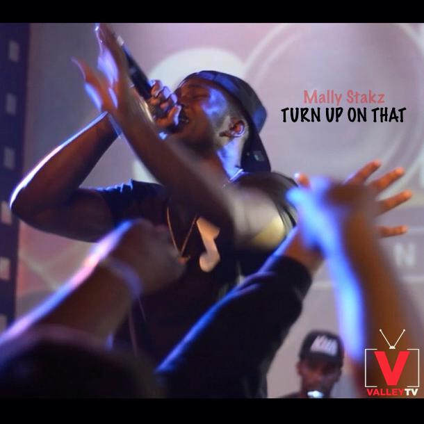 Mally Stakz - Turn Up On That [No Tags] DJ Louie V Release