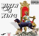 Birth Of A King