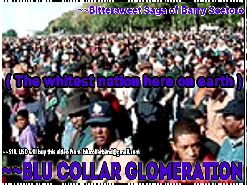 Bittersweet Saga of Barry Soetoro