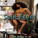 Soul Fever Vol.1