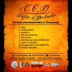 Cuzins Of Destruction