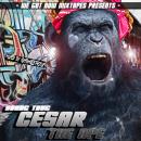 Cesar The Ape