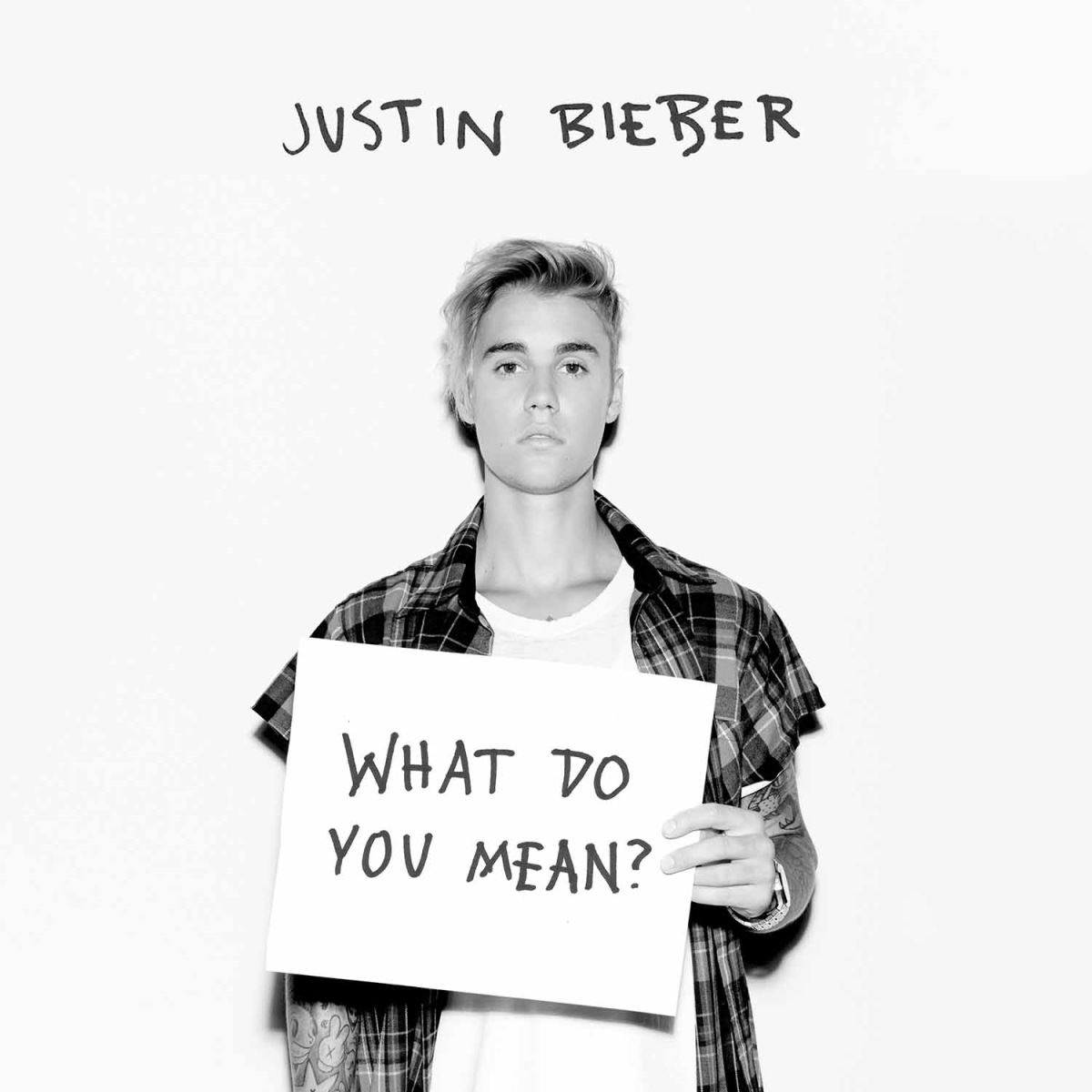 JUSTIN BEIBER WHAT DO YOU MEAN (DJ SERVICE PACK) 