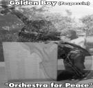 Orchestra for Peace