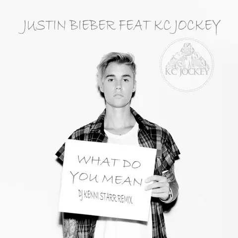 What Do You Mean (Dj