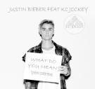 What Do You Mean (Dj