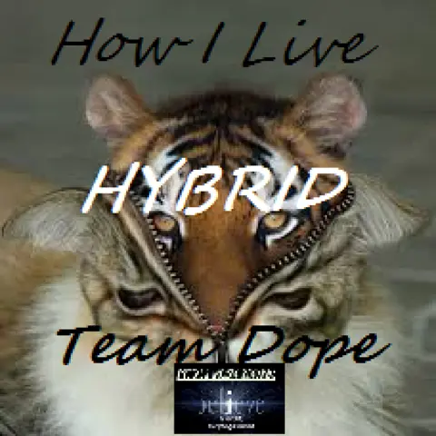 How I Live