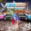 DIVA FEVER V2 MIXTAPE