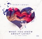 KONFIIDENT @KONFIIDENT FEAT @TORYLANEZ - WHAT YOU KNOW ABOUT LOVE