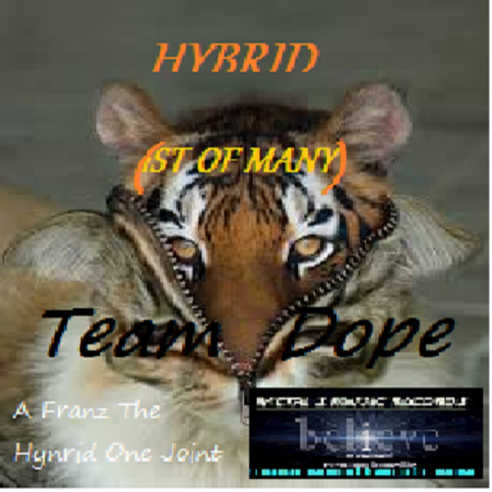 Hybrid (1st Of Many) The YounGGin Volume