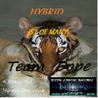 Hybrid (1st Of Many) The YounGGin Volume