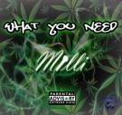 What You Need (Move That Dope Remix) What You Need (Move That Dope Remix)