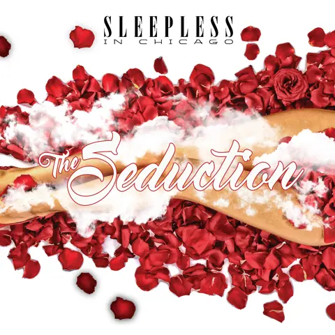 Sleepless In Chicago: The Seduction