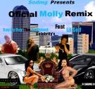Oficial Molly Remix Day By Day Feat Lil $od