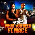 What You Need Ft. Mac E @DaNuBoi