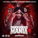 Waka Flocka & BSM - Brick Squad Mania 6