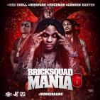 Waka Flocka & BSM - Brick Squad Mania 6 Waka Flocka & BSM - Brick Squad Mania 6