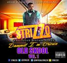 Dammit I'm Grown Old Skool Vol.1