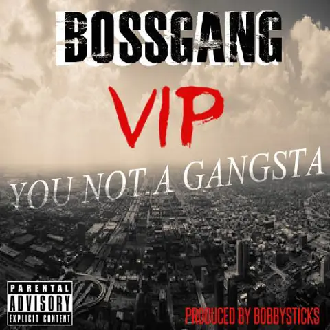 You Not A Gangsta 